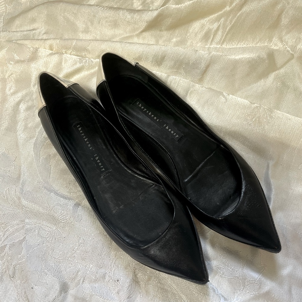 Theyskens’ Theory pointy toe color block flats size 37